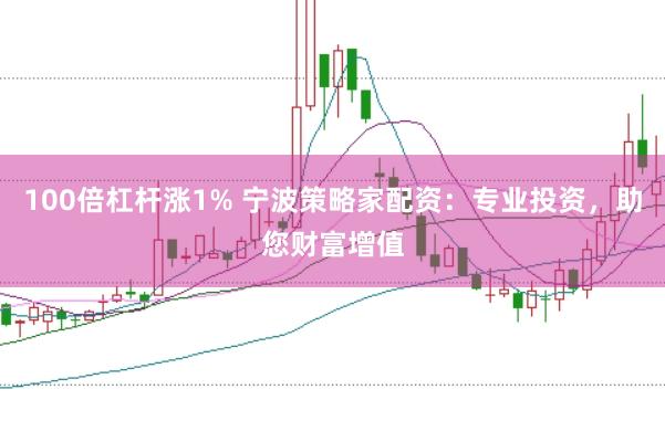 100倍杠杆涨1% 宁波策略家配资：专业投资，助您财富增值