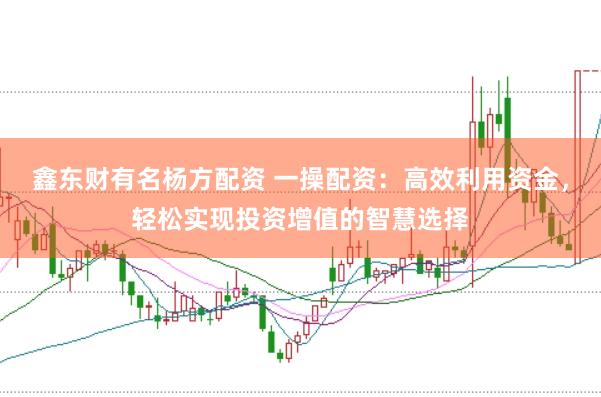 鑫东财有名杨方配资 一操配资：高效利用资金，轻松实现投资增值的智慧选择