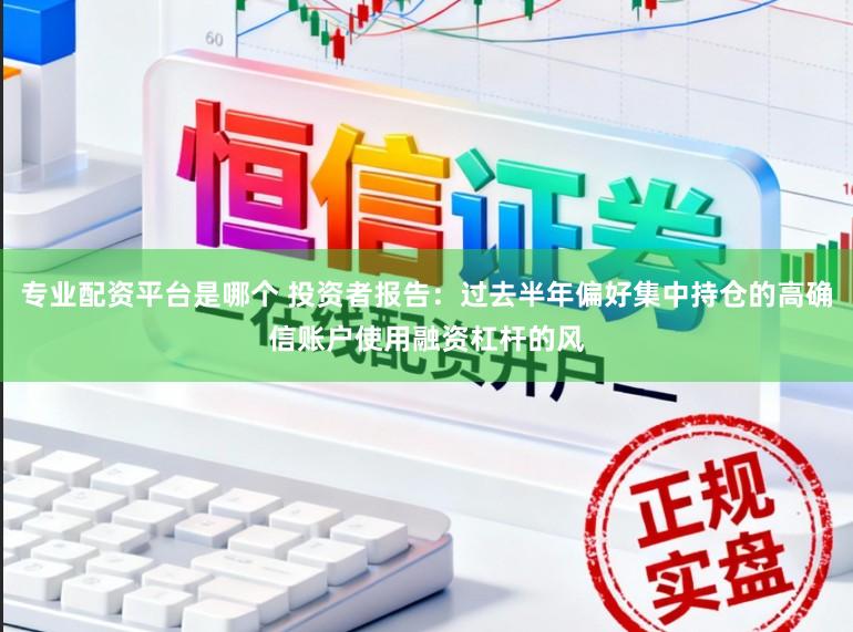 专业配资平台是哪个 投资者报告：过去半年偏好集中持仓的高确信账户使用融资杠杆的风